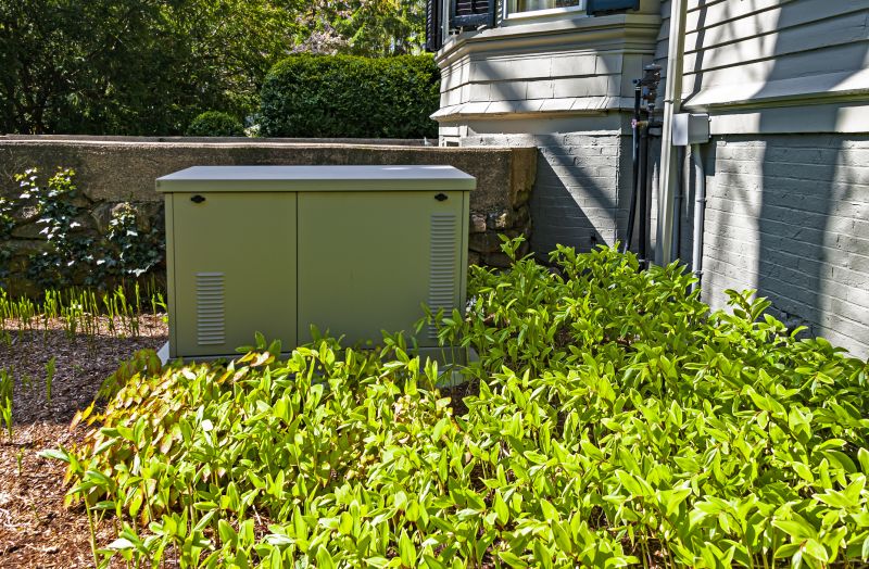 Generator with Residential Landscaping